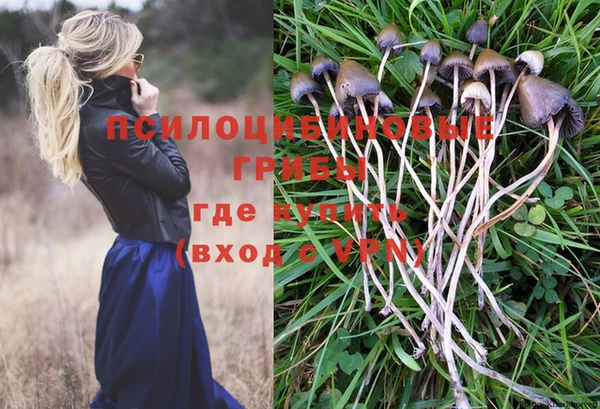 круглые Алексин