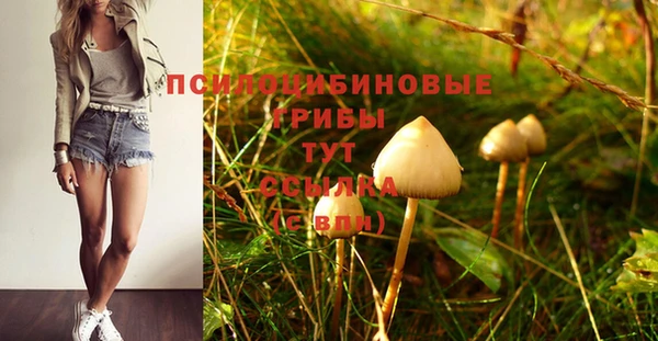 Альфа ПВП Алексеевка