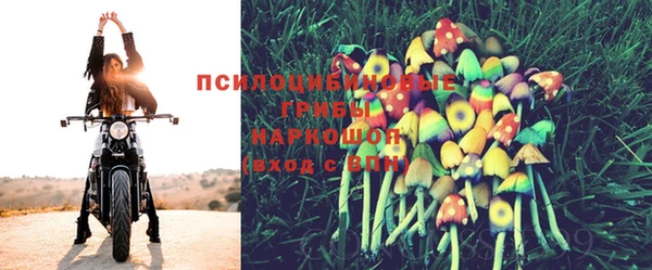 круглые Алексин