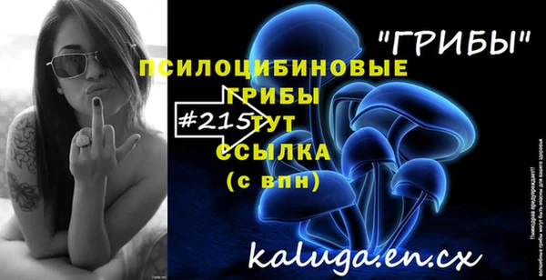 круглые Алексин