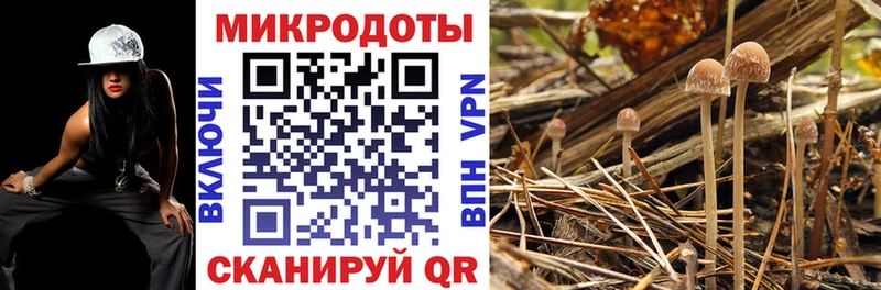 Галлюциногенные грибы прущие грибы магазин продажи Оханск